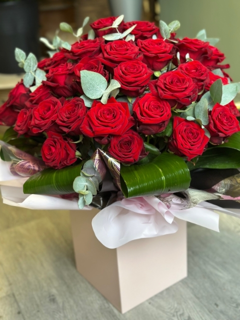 50 Luxury Roses