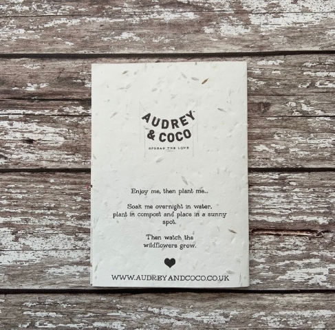 Blooming Lovely Christmas