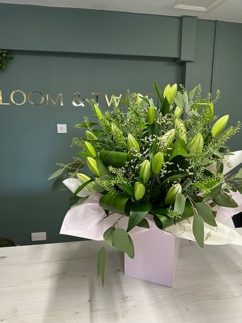 Lily Luxury