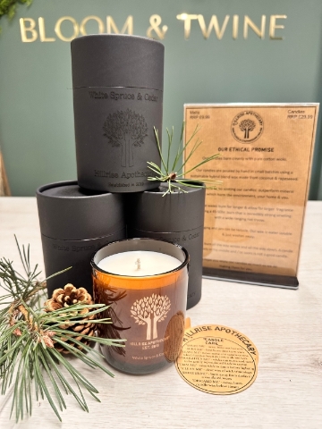 White Spruce and Cedar